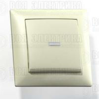 Выключатель 1-кл. СП Селена 10А IP20 С110-395 с индикацией сл. кость Кунцево 8142