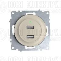 Розетка USB 2-м СП Florence 16А IP20 с подсветкой механизм беж. (1E10351301) OneKeyElectro 2260090