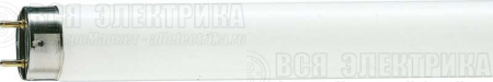 Лампа люминесцентная TL-D 36W/33-640 36Вт T8 4100К G13 PHILIPS 928048503351