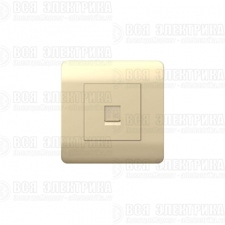 Розетка компьютерная 1-м NEW3-E RJ45 шампань CHINT 431416