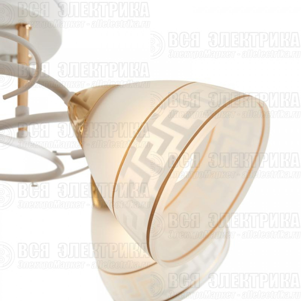 Светильник Entle 200Вт E27х5 IP20 потолочн. Freya FR5465CL-05W