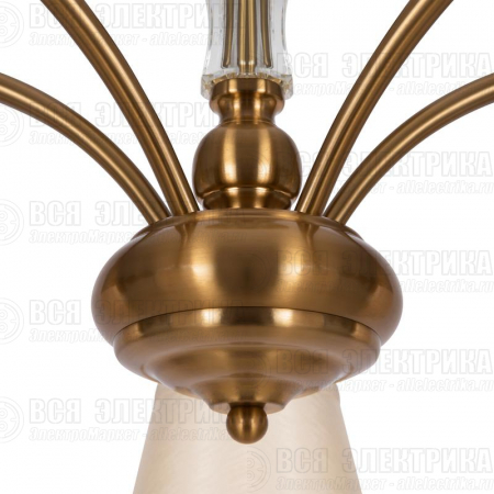 Светильник Zingy 40Вт E14х5 IP20 подвесной Freya FR5267PL-05BS