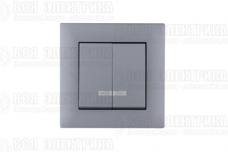 Выключатель 2-клав. с подсветкой Karea RIZZ STAR сер. Makel 88065023