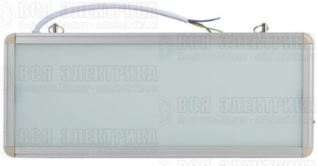 Светильник светодиодный SSA-101-0-20 3ч 3Вт без текста аварийный ЭРА Б0044387