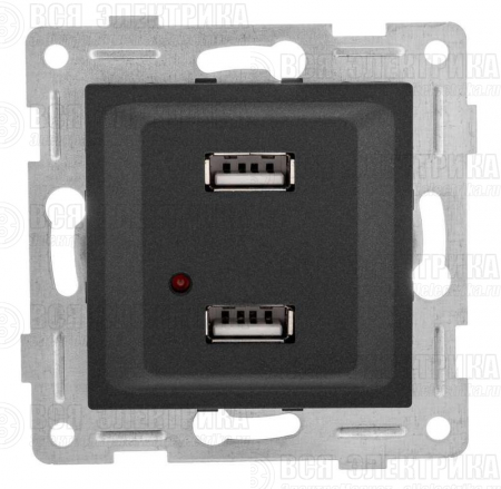 Розетка USB 2-м СП Ugra механизм графит GUSI С11USB2-010