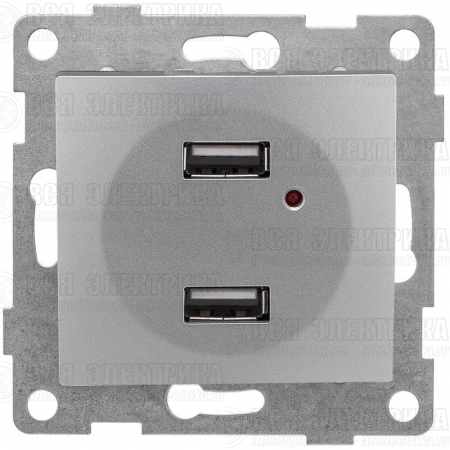 Розетка USB 2-м СП Bravo механизм серебр. GUSI С10USB2-004