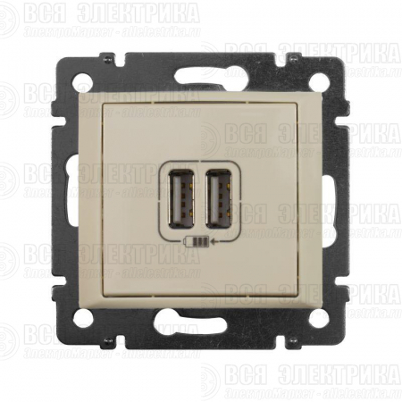 Розетка USB 2-м СП Valena сл. кость Leg 774170