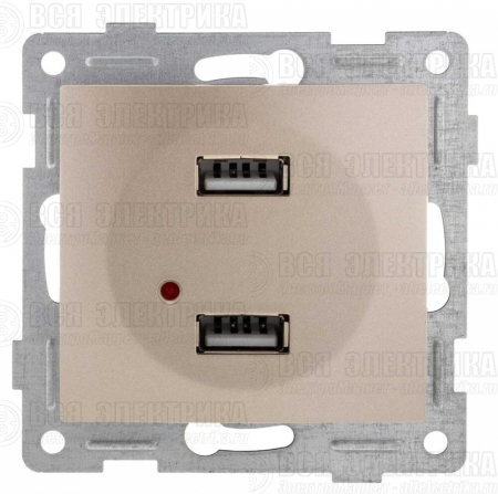Механизм розетки USB 2-местн. СП Bravo шампань GUSI С10USB2-027