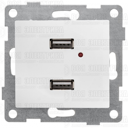 Розетка USB 2-м СП Bravo механизм бел. GUSI С10USB2-001