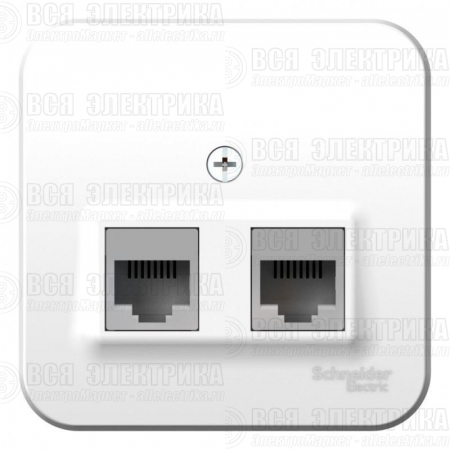 Розетка компьютерная 2-м ОП Blanca RJ45 кат.5E с изолир. пластиной бел. SE BLNIA045451