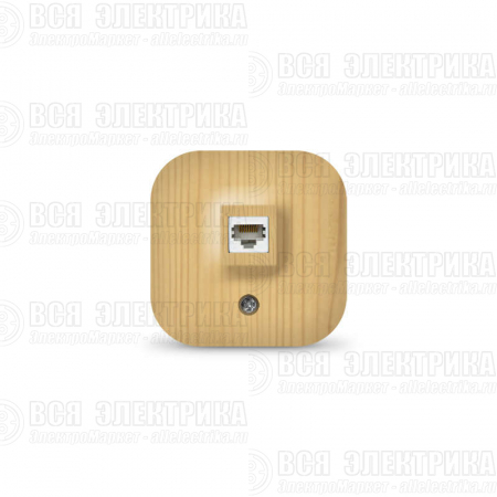 Розетка компьютерная ОП IP20 сосна IONICH 1443
