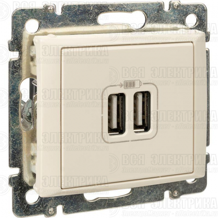 Розетка USB 2-м СП Valena сл. кость Leg 774170
