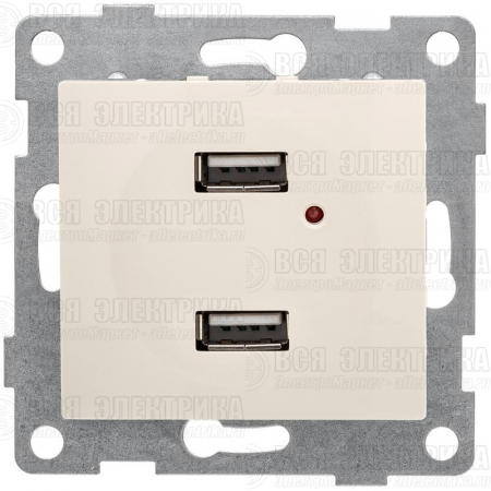 Розетка USB 2-м СП Bravo механизм беж. GUSI С10USB2-003