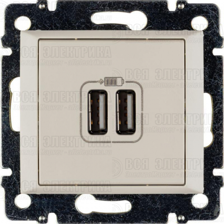 Розетка USB 2-м СП Valena сл. кость Leg 774170