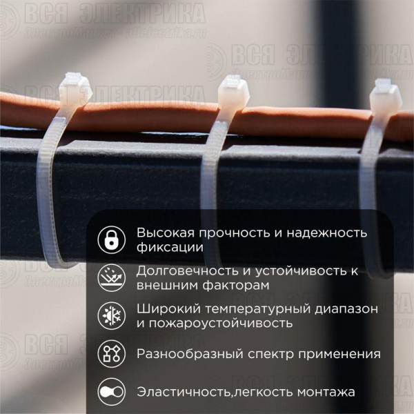 Хомут кабельный 2.5х100 нейл. бел. (уп.100шт) Rexant 07-0100