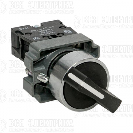 Переключатель BD21 2P короткая ручка NO IP65 PROxima EKF xb2-bd21-65