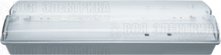 Светильник светодиодный 61 496 NEF-07 аварийный IP65 Navigator 61496