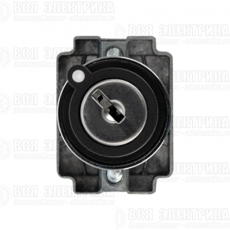 Переключатель BD32 3P с замком NO Rexant 36-5553