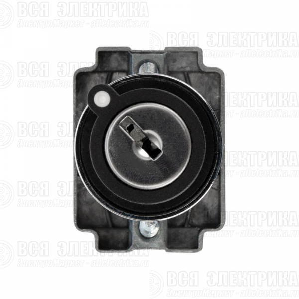 Переключатель BD32 3P с замком NO Rexant 36-5553