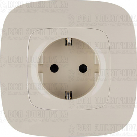 Розетка 1-м СП Valena Allure 16А IP20 250В 2P+E защ. шторки безвинтов. клеммы с лицев. панелью механизм сл. кость Leg 753820