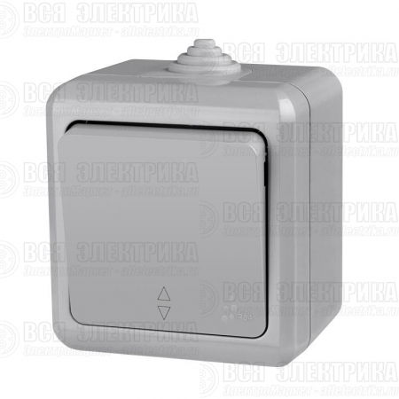 Переключатель 1-кл. ОП Dita IP54 10А 250В сер. TOKOV ELECTRIC TKL-DT-P1-C06-IP54