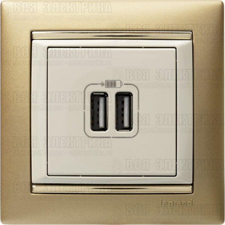 Розетка USB 2-м СП Valena сл. кость Leg 774170