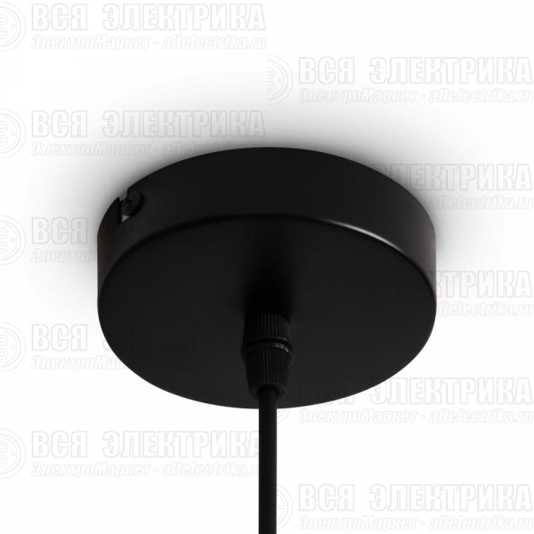 Светильник Topi 40Вт E27х1 IP20 подвесной Freya FR5503PL-01B