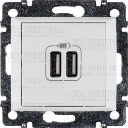 Розетка USB 2-м СП Valena бел. Leg 770470