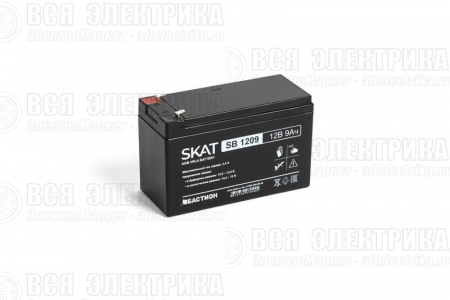 Аккумулятор свинцово-кислотный SKAT SB 1209 Бастион 2540