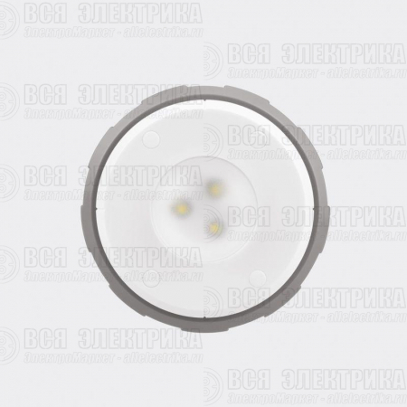 Фонарь антимоскитный кемпинговый R20 USB Rexant 71-0076