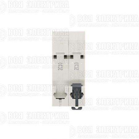 Выключатель автоматический 2п City9 Set (АВ) С 10А 6кА 230В SE C9F36210