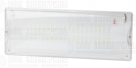 Светильник светодиодный DPA-301-0-65 40LED 3ч IP65 аварийный непостоянный Эра Б0044405