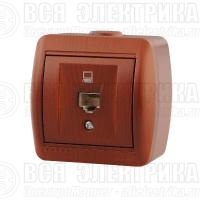 Розетка компьютерная 1-м ОП Nata RJ45 вишня LEZARD 710-0600-139