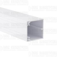 Кабель-канал 60х60 L2000 пластик TA-GN DKC 01784