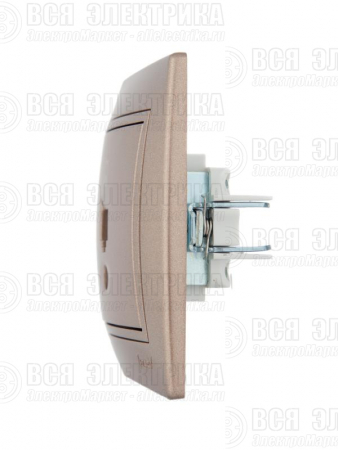 Розетка компьютерная 1-м СП Mira RJ45 16А IP20 со вставкой свет. корич. перламутр. LEZARD 701-3131-139