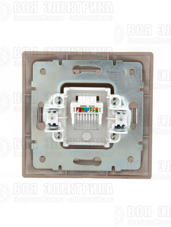 Розетка компьютерная 1-м СП Mira RJ45 16А IP20 со вставкой свет. корич. перламутр. LEZARD 701-3131-139