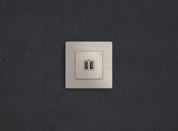 Розетка USB 2-м СП 2мод. Etika 240В/5В 2400мА механизм сл. кость Leg 672394