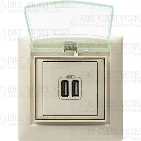 Розетка USB 2-м СП Valena сл. кость Leg 774170