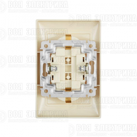 Розетка 2-м СП Valena 16А IP20 2P+E с заземл. немецк. стандарт сл. кость (DIY-упак.) Leg 695616