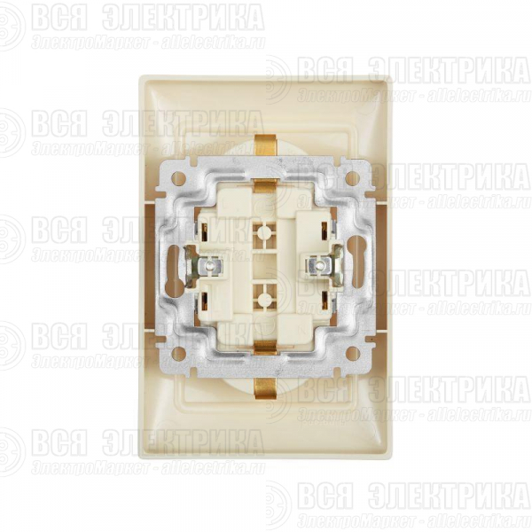 Розетка 2-м СП Valena 16А IP20 2P+E с заземл. немецк. стандарт сл. кость (DIY-упак.) Leg 695616