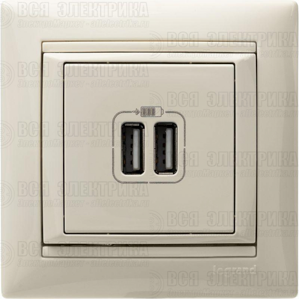 Розетка USB 2-м СП Valena сл. кость Leg 774170