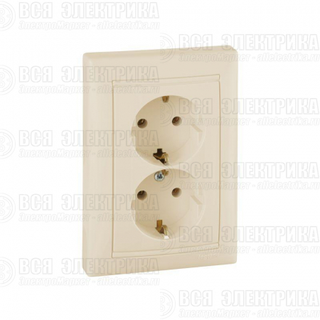 Розетка 2-м СП Valena 16А IP20 2P+E с заземл. немецк. стандарт сл. кость (DIY-упак.) Leg 695616